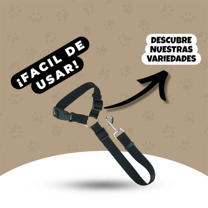 Arnes para coche perro