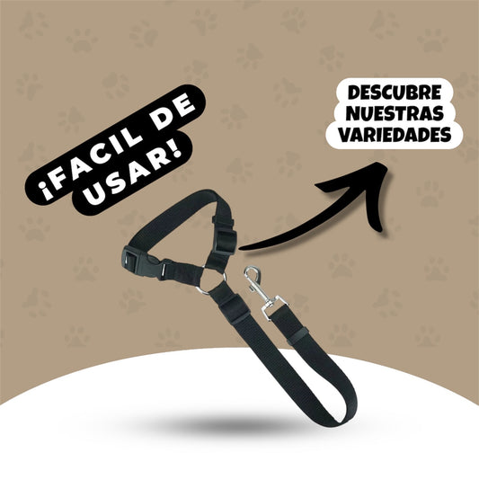 Arnes para coche perro