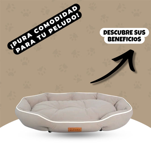 Cama para perros