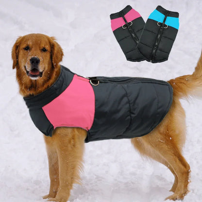 Chaqueta impermeable para perros