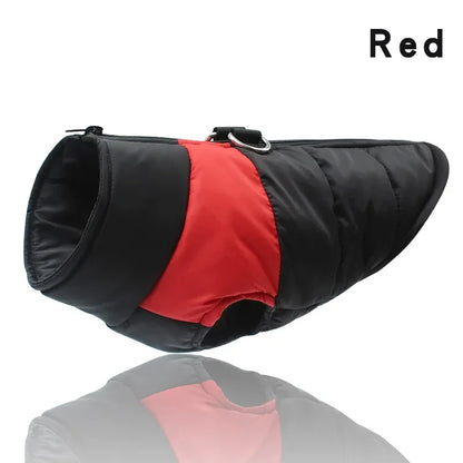 Chaqueta impermeable para perros