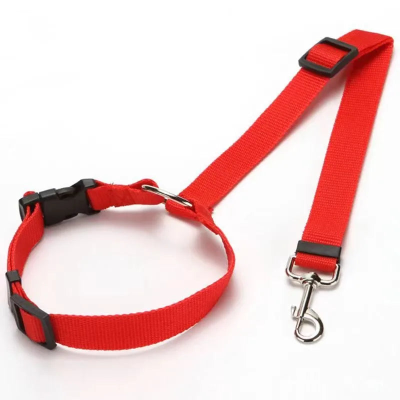 Arnes para coche perro