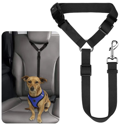Arnes para coche perro